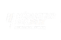 Mediateurdesjeux logo